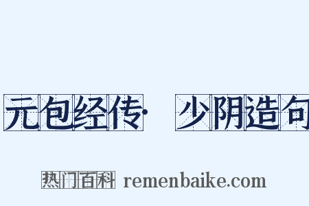 元包经传·少阴造句是什么意思的图片